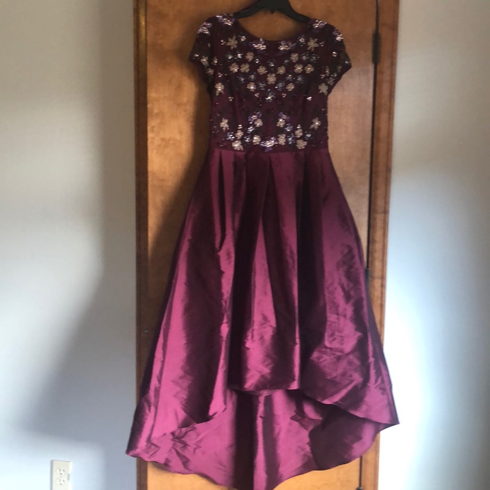Adrianna Papell Beaded Hi Low gown in Cabaret